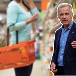 Canada Grocery Price Watch
